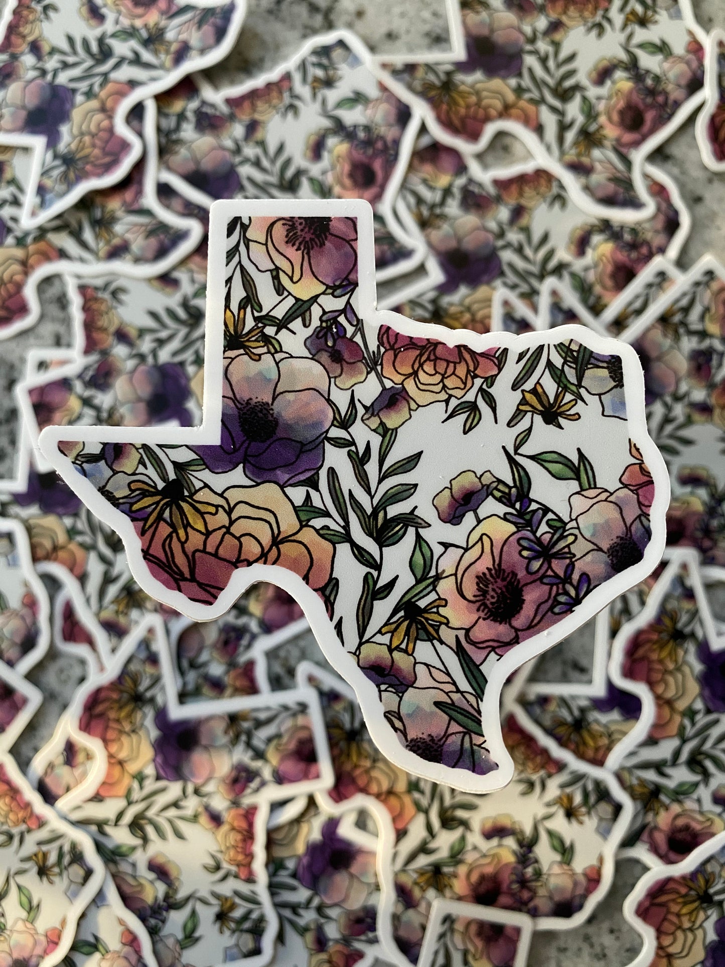 Texas | Sticker