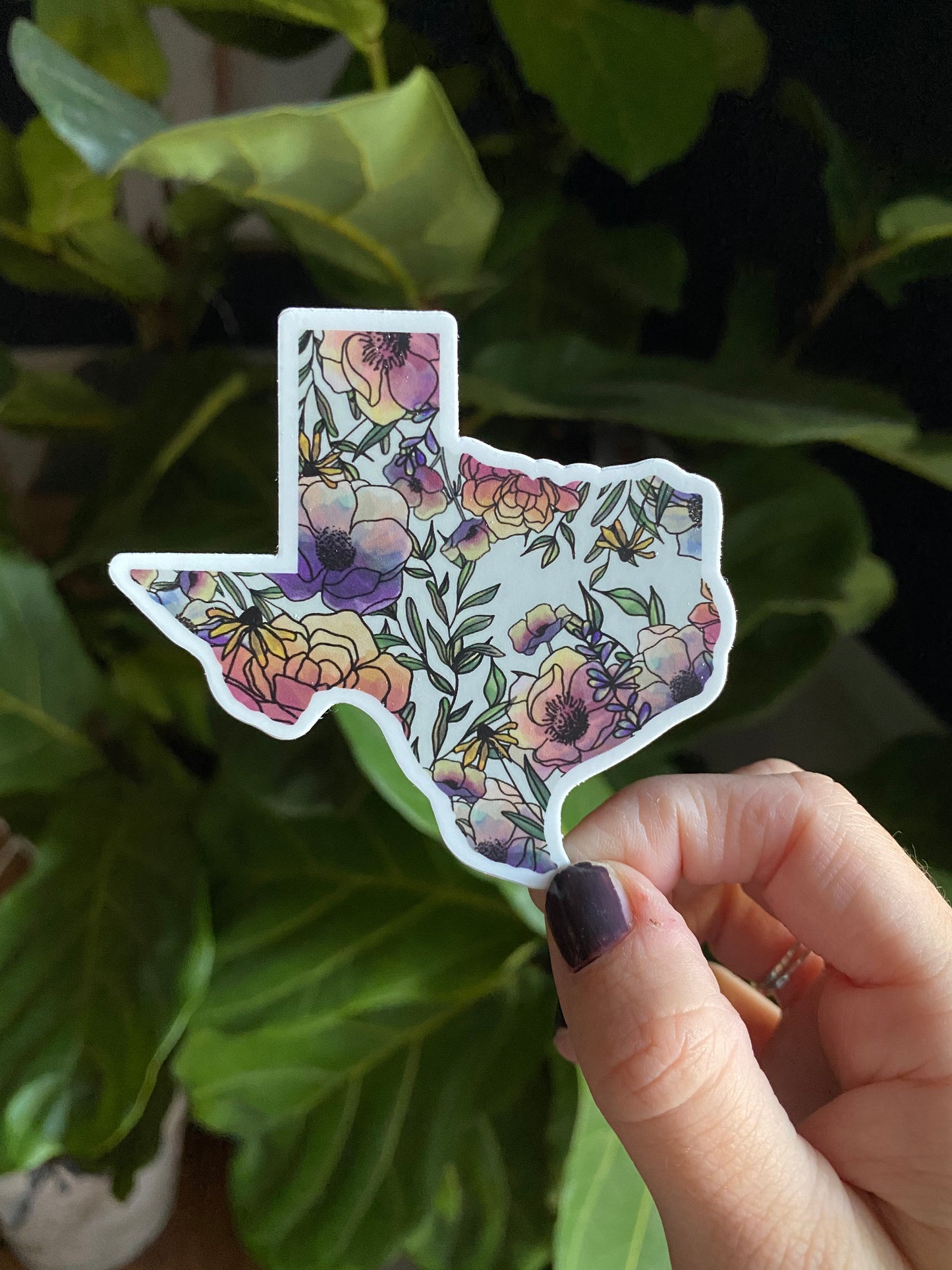 Texas | Sticker