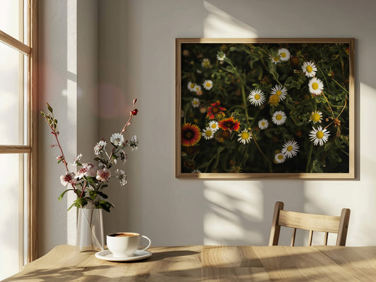 Meadow Dance | Wildflower Fine Art Photography Print, Botanical Wall Art, Daisy Field Decor