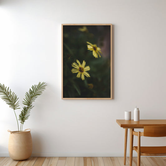 Golden Quiet | Botanical Fine Art Photography Print, Yellow Flower Wall Art, Nature Decor