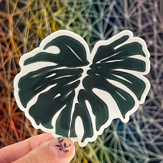 Monstera | Sticker